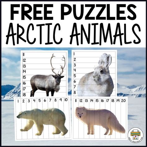 Winter Animals Preschool Activities, Arctic Animals Printables, Arctic Animals Preschool Activities, Polar Animals Preschool, Winter Animals Preschool, Arctic Animals Preschool, Arctic Animals Crafts, Polar Bear Craft, Animal Printables