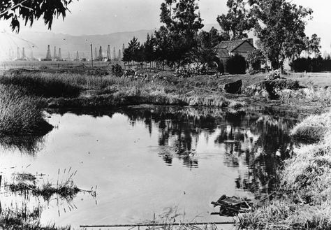 La Brea Tar Pits, San Gabriel Mountains, Miracle Mile, La Brea, California History, Olden Days, Bunker Hill, Hollywood Boulevard, California Vacation