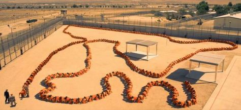 Human Centipede 3 trailer: So this is what a 500-person centipede looks like (predictably horrible) - Films - Arts and Entertainment - The Independent The Human Centipede, Human Centipede, Movie Pins, Red Band, Movie Photo, Halloween Horror, Scary Movies, Screen Shot, Cinematography