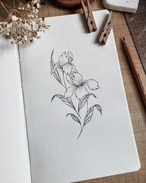 #floralinspiration • I for Iris, which is the February birth flower. Iris means faith, hope, wisdom. 🩷 I hope you have wonderful February … | Instagram August And February Birth Flower Tattoo, February Birth Flower Tattoo, February Flower, February Birth Flower, Bookplate Design, February Birth Flowers, Birth Flower Tattoos, Birth Flower, Birth Flowers