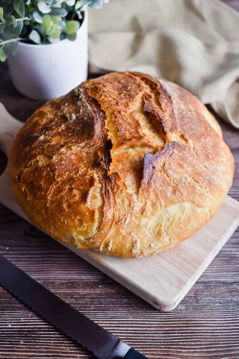 Instant Pot Bread (No Knead!) - Lynn's Way of Life Instant Pot Bread, Bread No Knead, Pot Bread, Homemade Bread Easy, Artisan Bread Recipes, Rustic Bread, No Knead, Instant Pot Dinner Recipes, Easy Bread