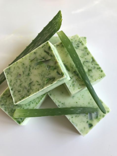 Hufflepuff Bathroom, Plant Avocado, Aloe Vera Recipes, Soap Samples, Handmade Soap Packaging, Small Holding, Aloe Vera Soap, Soap Photography, Aloe Vera Benefits