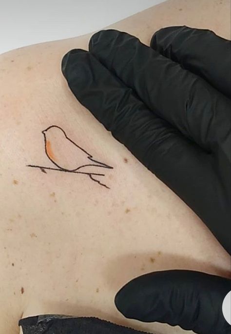 Bird Outline Tattoo, Robin Bird Tattoos, Robin Tattoo, Small Bird Tattoos, Cardinal Tattoo, Tiny Bird Tattoos, Bluebird Tattoo, Mo Ganji, Cardinal Tattoos