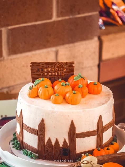 Fall Festival Cake Walk Cakes, Pumpkin Cake Design Birthday, Pumpkin Patch Cake, Autumn Cakes, Halloween Cheese, Spooky Halloween Food, Fake Bakes, Halloween Baking, Fall Cakes