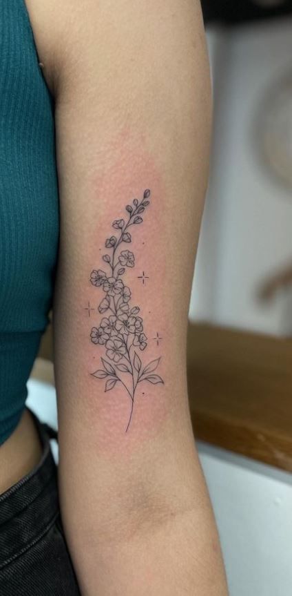 Birth Flower Tattoos Larkspur, July North Flower Tattoo, Larkspur Water Lily Bouquet Tattoo, Larkspur Hummingbird Tattoo, Larkspur And Moon Tattoo, July Bouquet Tattoo, Larkspur Chrysanthemum Tattoo, Larkspur Delphinium Tattoo, July Birth Flower Tattoo Ideas