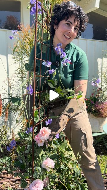 Armstrong Garden Centers on Instagram: "🌸 The one ingredient to turn your yard into an English cottage garden 🤩 Climbing roses! These quintessential romantic ramblers will transport you to the secret garden of your dreams. Here’s a few inspirational ideas 💡 ⬇️ 

🌹 Grow over an arch mixed with sweet peas or clematis for an extra floral twist. 

🌸 using wire or trellis panels, train a climbing rose to cover a blank wall. 

🌹cover a fence with old fashioned charm while attracting your favorite pollinators to visit your garden. 

🌸🌹Are you enchanted by climbing roses? Let us know! 

#rosegarden #climbingroses #davidaustinroses #englishroses #cottagegarden #gardenarch" Rose Trellis Ideas Diy Climbing Flowers, Rose Arches Garden, Climbing Rose Trellis Ideas, Clematis Ideas, Climbing Roses Trellis, Clematis Trellis, Wall Cover, Climbing Flowers, Rose Trellis