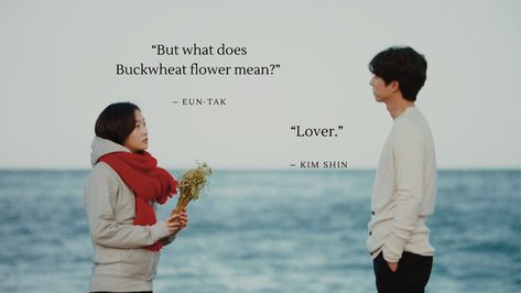 Goblin Wallpaper Kdrama, Buckwheat Flower, Goblin The Lonely And Great God, Ji Eun Tak, Goblin Korean Drama, Quotes Drama Korea, Goblin Kdrama, Korean Drama Funny, Drama Songs