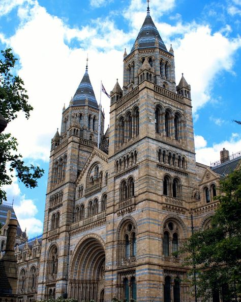 National History Museum in London. National History Museum London, National History Museum, London Rain, London Drawing, Natural History Museum London, Natural History Museum, Europe Trip, London Art, History Museum