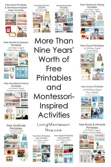 Montessori Homeschool Preschool, Montessori Activities Preschool, Montessori Printables, Montessori Elementary, Montessori Lessons, Gratis Printables, Toddler Homeschool, Montessori Homeschool, Montessori Toddler Activities