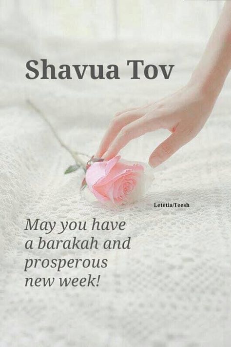 Shavua Tov, Shabbat Shalom Images, English To Hebrew, Shabbat Shalom, Good Week