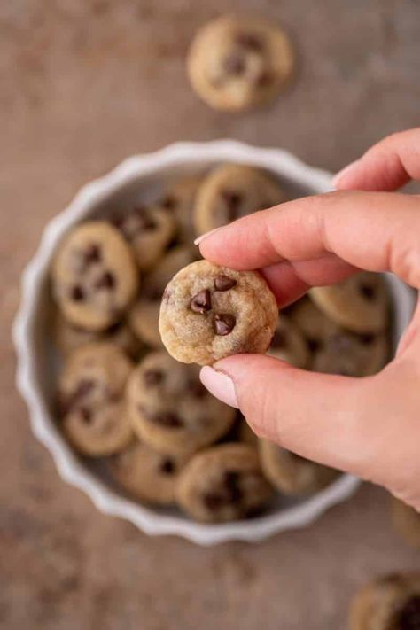 Tiny Chocolate Chip Cookies, Tiny Cookies Recipe, Mini Chocolate Chip Cookies Recipe, Mini Cookie Recipe, Tiny Cookies, Baking Organization, Lifestyle Of A Foodie, Mini Sweets, Moon Cookies