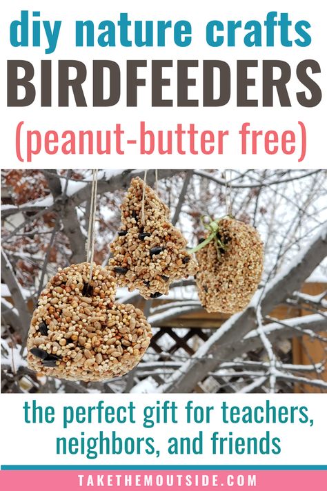 Check out these easydiy birdfeeders made from birdseed and gelatine (no peanut butter needed). These are great gifts for teachers and neighbors. #diybirdfeeders Apple Bird Feeder Diy, Birdseed Ornaments Recipe Peanut Butter, Peanut Butter Bird Seed Ornaments, Homemade Bird Treats, Peanut Butter Bird Feeder Diy, Birdseed Crafts, Diy Bird Feeder Kids, Peanut Butter Bird Feeder, Apple Bird Feeder