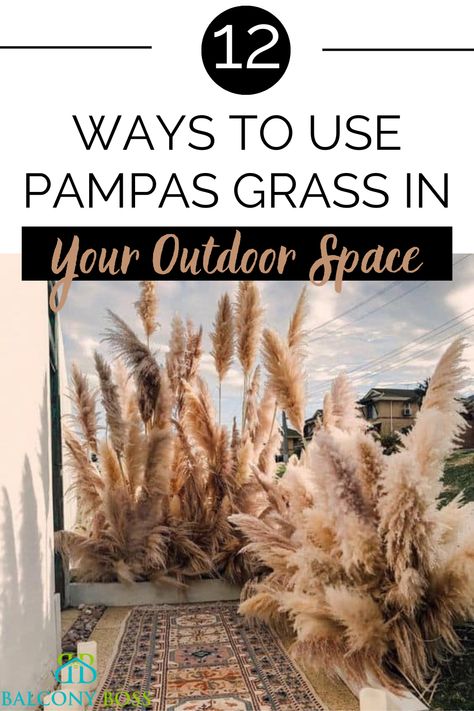 Pampas grass is a popular decorative element indoors, but, unsurprisingly, it works just as well outdoors. Famous for its bushy stems and interesting texture, it’s a great choice both cut and grown as a plant. In this post, we’ll look at 12 ways to use pampas grass décor outdoors. Of course, you can translate plenty of these into indoor decorations, too. Balcony Hacks, Purple Pampas Grass, Pot Image, Cortaderia Selloana, Patio Railing, Grass Wreath, Grass Decor, Pampas Grass Decor, Balcony Plants