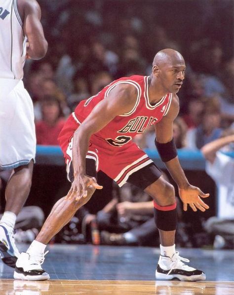 One of the few that liked to DIG IN and play defense Mike Jordan, Michael Jordan Photos, Jeffrey Jordan, Michael Jordan Pictures, Jordan Bulls, Basketball Players Nba, Michael Jordan Basketball, Sport Nutrition, Jordan Basketball