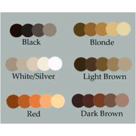 Hair color Brunette Hair Color Palette, Hair Colors Drawing Reference, Hair Shading Color Palette, Dark Brown Hair Color Palette, Natural Hair Color Palette, Brown Hair Color Palette Digital Art, White Hair Pallete, Brown Hair Colors Palette, Dark Hair Color Palette