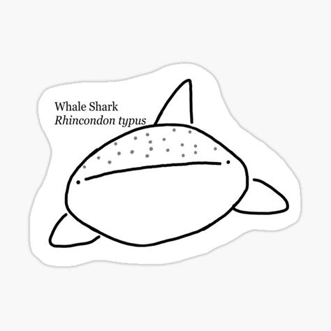 "Whale Shark with scientific name scribble doodle line art" Sticker by SquiddieDesigns | Redbubble Whale Shark Doodle, Happy Birthday Frog, Shark Doodle, Birthday Frog, Doodle Line Art, Shark Art, Shrinky Dink, What To Sell, Scientific Name