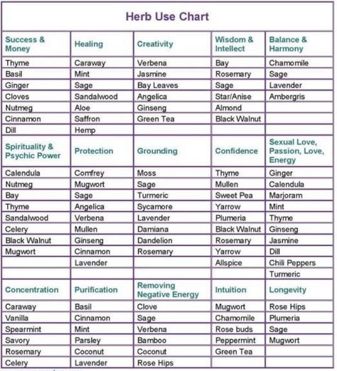 Herb Correspondences, Herb Uses, Witchcraft Herbs, Magickal Herbs, Witch Herbs, Magia Das Ervas, Medical Herbs, Witch Spirituality, Grimoire Book