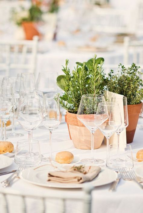 rustic potted herbs wedding centerpiece / http://www.himisspuff.com/potted-plants-wedding-decor-ideas/9/ Herb Wedding Centerpieces, Herb Centerpieces, Tie Photography, Tuscany Italy Wedding, Herb Wedding, Plant Centerpieces, Rustic Wedding Decorations, Outdoor Dinner Parties, Outdoor Dinner