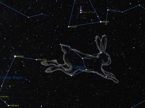 Lepus Rabbit Constellation, Lepus Constellation, Lunar Rabbit, Space Rabbit, Half Drow, Witchy Academia, Lunar Moon, Monster Girls, Dreams And Nightmares