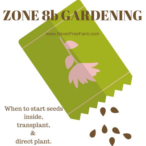 Zone 8 Gardening, Zone 7 Gardening, When To Plant Seeds, Planting Seeds Indoors, Mountain Rain, Zone 8b, Growing A Garden, Fall Crops, Rain Shadow