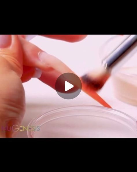 NuGenesis Nails on Instagram: "Create an ombré nail look with NuGenesis dip powder. By following this tutorial video, by Tom Ho, you can achieve a flawless gradient effect using high-quality NuGenesis products ✨ 

To achieve the ombré effect, you’ll need a small brush or a sponge applicator. Dip it into the darker NuGenesis dip powder. 

Starting at the tip of your nail, gently dab the darker powder, gradually blending it upwards. This will create the gradient effect. Use a light hand to ensure a smooth transition between the two colors.

Repeat this process, adding layers as needed until you’re satisfied with the blend.

Visit us at www.nugenesisnails.com to find more nail tutorials 💅🏻 

#nugenesis #nugenesisnails #dippowder #dipnails #dippowdernails #nailpolish #gelnails #nailsofinstag Nail Video, Dip Powder Nails, Ombre Effect, Dip Powder, Tutorial Video, Powder Nails, Nail Tutorials, Ombre Nails, You Nailed It