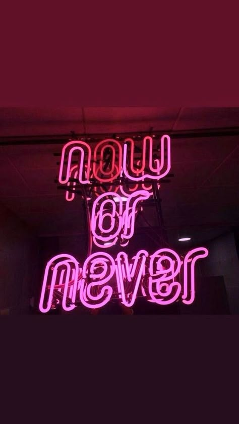 Neon Quotes, Now Or Never, Wallpaper Tumblr, Website Design Layout, Neon Aesthetic, Neon Wallpaper, Picture Collage Wall, Photo Wall Collage, Visual Statements