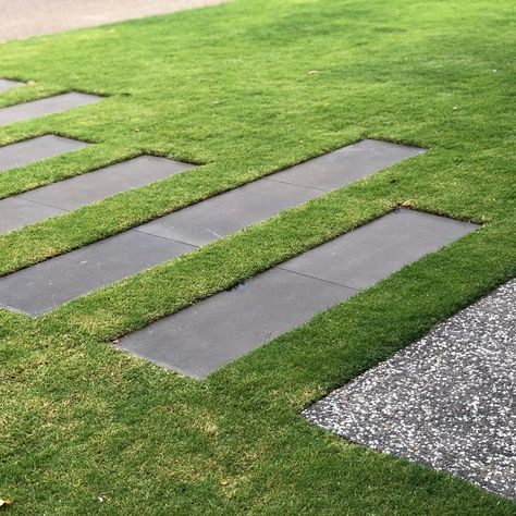 Lee Gray on Instagram: “Lawn envy...... A very clever client installed a LGLD garden himself and it looks wonderful. Here’s a snapshot of the stepping stones.…” Steppers In Lawn, Lawn Stepping Stones, Front Garden Stepping Stones, Modern Stepping Stones, Stepping Stones Pathway In Lawn, Lawn Pathway Ideas, Sleeper Pathway, Garden Path Ideas Stepping Stones, Landscape Stepping Stones