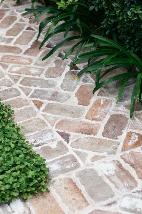 Red Brick Paving, Brick Driveway, Eco Outdoor, Ficus Pumila, Brick Pathway, Walkway Landscaping, Outdoor Paving, House Ranch, Brick Path