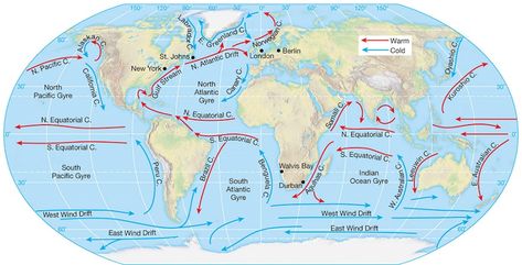 Ocean Currents Map, Ocean Lesson Plans, World Geography Map, Earth Science Lessons, Ocean Currents, Weather Science, Continents And Oceans, Physical Geography, Geography Map