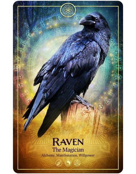 Raven Spirit Animal, Animal Tarot Cards, Animal Tarot, Spirit Animal Totem, Daily Tarot Reading, Animal Spirit Guides, Animal Medicine, Animal Guides, Power Animal