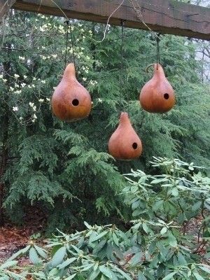 Gourds are fun and easy to grow, and many of the hard-shell types make wonderful houses for common cavity-nesting bird species like chickadees, nuthatches, and martins. Large Bird Houses, Bottle Gourd, Bird House Plans, Gourds Birdhouse, Birdhouse Designs, Bird House Kits, Bird Aviary, Deco Nature, Gourds Crafts