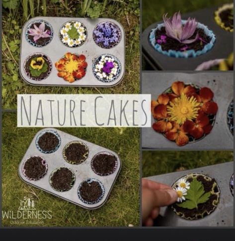 Nature Lessons For Preschool, Nature Activities Preschool, Outdoor Classroom Activities, Nature Cakes, Nature Crafts Kids, Nature Learning, Nature Based Learning, Forest School Activities, Backyard Kids Play Area