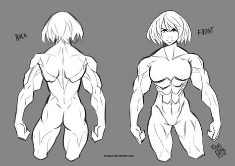 Female Muscle Anatomy, Female Anatomy Reference, Male Figure Drawing, People Drawing, Female Muscle, Human Anatomy Drawing, Muscle Anatomy, Human Figure Drawing, Anatomy Sketches