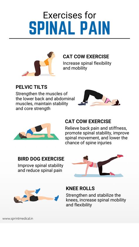 5 Exercises for Spinal Pain Spinal Strengthening Exercises, Spinal Extension Exercise, Spinal Canal Stenosis Exercises Exercises, L5 S1 Pain Relief Exercise, Spinal Decompression Exercises, Spinal Canal Stenosis Exercises, Spinal Mobility Exercises, Spine Strengthening Exercises, Spondylosis Exercises