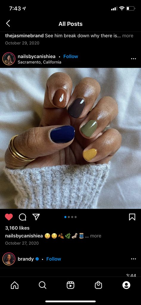 Fall Nails Dipping Powder, Dipped Nails Fall Colors, Cute Short Nail Colors, Fall Different Color Nails, October Nails Fall Short Simple, Russian Manicure Design Fall, Fall Nail Color Palette, Fall Winter Nail Colors, Short Acrylic Nails Designs Halloween