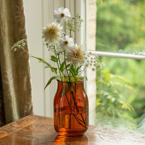 Bulb Planting Tools, Glass Bottle Vase, Crocus Bulbs, Colored Glass Vases, White Patio, Landfill Waste, Daffodil Bulbs, Recycled Glass Bottles, Fragrant Plant