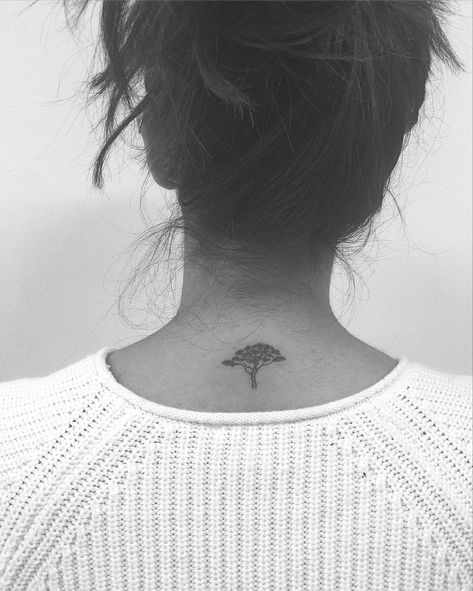 Acacia Tree Tattoo, Acacia Tattoo, Jonboy Tattoo, Africa Tattoos, Tree Tattoo Small, African Tattoo, Jon Boy, Tree Tattoo Designs, Acacia Tree