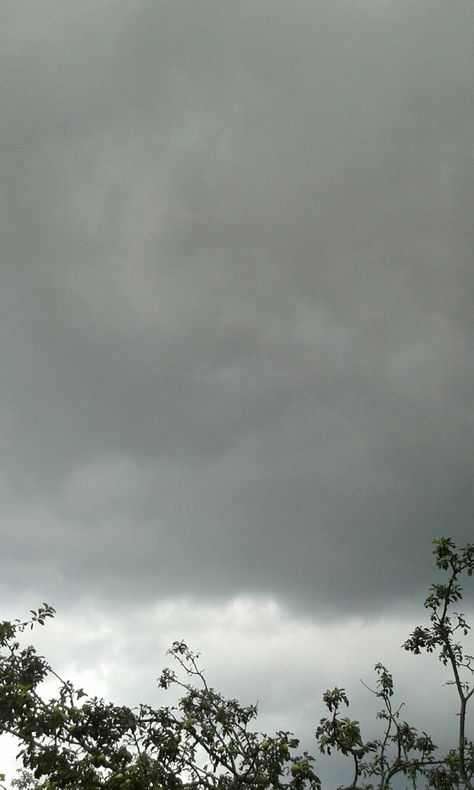 Cloudy sky,clouds,rain,rainy,storm,trees,leaves,grey,grey clouds Rainy Sky Photography, Cloudy Rainy Sky Aesthetic, Rainy Clouds Photography, Grey Sky Aesthetic, Rainy Clouds Aesthetic, Cloudy Rainy Sky, Cloudy Sky Aesthetic, Rain Pic, Rainy Skies