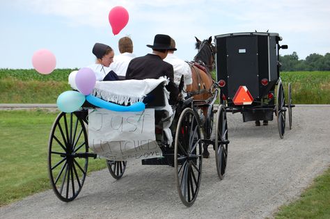 Amish Country Lancaster Pa, Amish Wedding, Amish Village, Amish Country Ohio, Amish Lifestyle, Amish Living, Amish Culture, Amish Life, Amish Farm