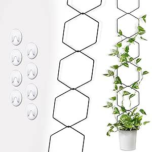 KaiCarnte Trellis for Climbing Plants Outdoor & Indoor-Plant Trellis for ivy-Garden DIY Trellis for Potted Plants (1 Pack) Diy Trellis For Potted Plants, Trellis For Potted Plants, Climbing Plants Outdoor, Ivy Garden, Indoor Plant Trellis, Climbing Plant Support, Plant Trellis, Hexagonal Ring, Diy Trellis