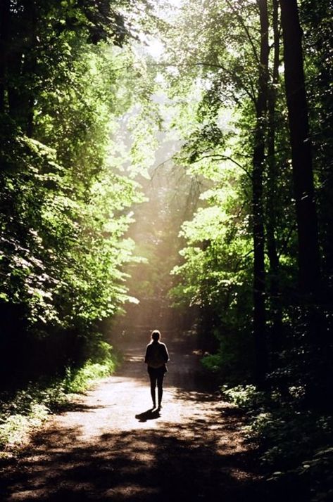 Visuell Identitet, Natures Path, Woods Photography, Forest Path, Shoot Film, Dirt Road, Shooting Photo, Walk In The Woods, Those Days