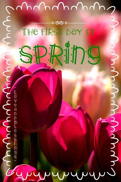 Happy First Day of Spring! ❤️ First Day Of Spring Quotes, New Month Greetings, Good Morning Spring, April Wallpaper Aesthetic, Spring Wallpaper Iphone, Aesthetic Spring Wallpaper, Seasonal Quotes, Wallpaper April, April Aesthetic