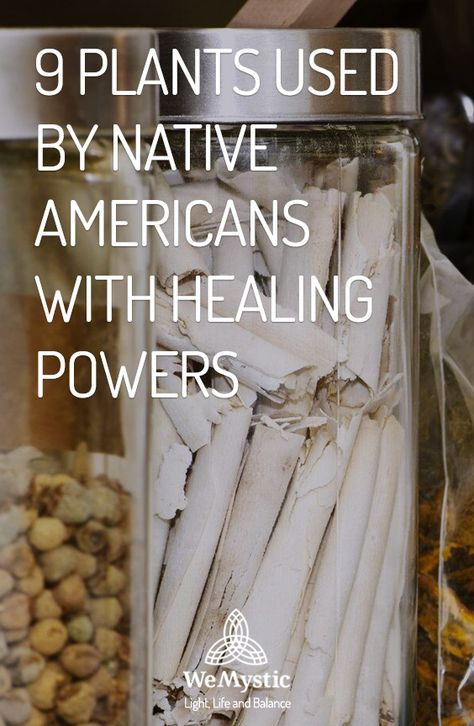 Native American Herbal Remedies, Native American Remedies, Mountain Plants, Native American Herbs, Medicinal Weeds, Natural Medicine Cabinet, Native American Food, Herbal Remedies Recipes, Foraging Recipes