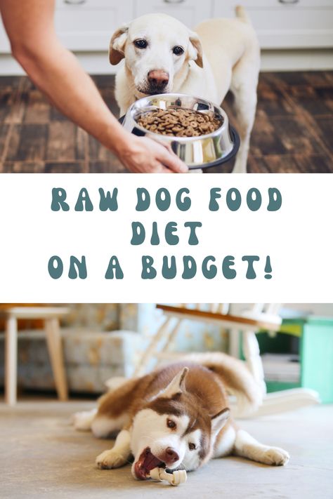 Raw Diet For Dogs, Raw Food For Dogs, Dog Raw Diet, Raw Feeding For Dogs, High Protein Dog Food, Diet For Dogs, Raw Dog Food Diet, Food For Dogs, Diy Dog Food