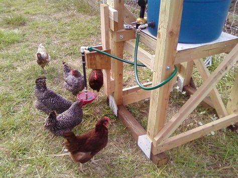 Urban Chicken, Chicken Feeder Diy, Diy Jardin, Chicken Waterer, Chicken Feeders, Chicken Farming, Keeping Chickens, Mini Farm, Chicken Diy