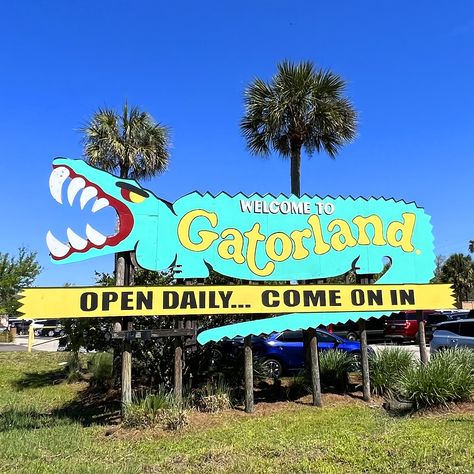 #BoycottFacebook #Florida #Orlando #Gatorland @Gatorland #BriceDailyPhoto Gatorland Orlando Florida, Florida Gothic Aesthetic, South Florida Aesthetic, Orlando Florida Aesthetic, Florida Nostalgia, Orlando Aesthetic, Gatorland Orlando, Baby Branding, Roadside Signs