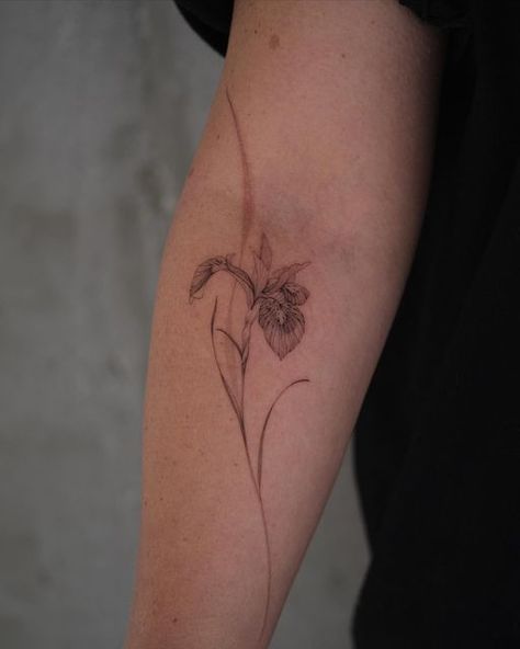 White Iris Tattoo, Japanese Iris Tattoo, Fine Line Iris Tattoo, Simple Iris Tattoo, Iris Tattoo Design, Tattoos Man, Iris Flower Tattoo, Larkspur Tattoo, Delicate Flower Tattoo