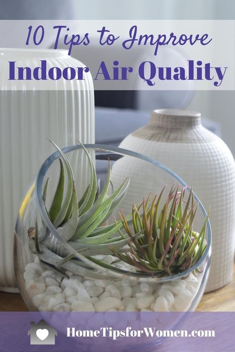 You want to live a healthy life. You eat right, you exercise but how do you know if the air you're breathing is healthy? There are tests but even better, there are lots of simple decisions & actions you can take to improve the indoor air quality in your home ... and lots of government resources to help too! Natural Decongestant, Improve Indoor Air Quality, Live Healthy, Healthier Lifestyle, Living A Healthy Life, Healthy Families, Indoor Air Quality, Eat Right, Indoor Air