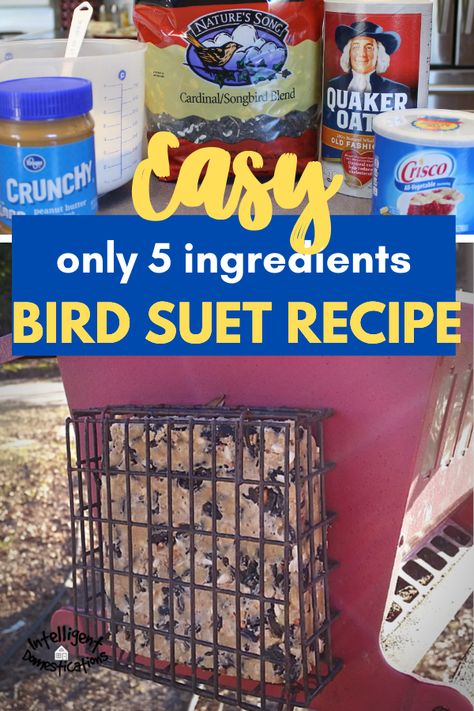 Easy 5 ingredient Homemade Bird Suet Recipe with crunchy peanut butter the birds love. This recipe freezes well. Teach the children to make bird suet cakes. A good activity to do with the children when teaching them to care for all God's creatures. #birding #birdsuet Homemade Bird Suet, Suet Recipe, Backyard Birds Sanctuary, Backyard Birds Feeders, Bird Suet, Suet Cakes, Bird Seed Ornaments, Feed The Birds, Feeding Birds