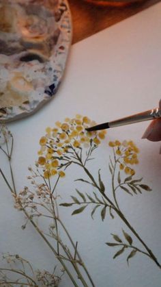 Tansy Flower, Flower Art Watercolor, Free Watercolor Flowers, Watercolor Flowers Tutorial, Flowers Tutorial, Watercolor Paintings For Beginners, Diy Watercolor Painting, Watercolor Sketchbook, Watercolor Flower Art